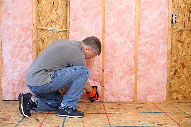 Best Cellulose Insulation in Capitan, NM